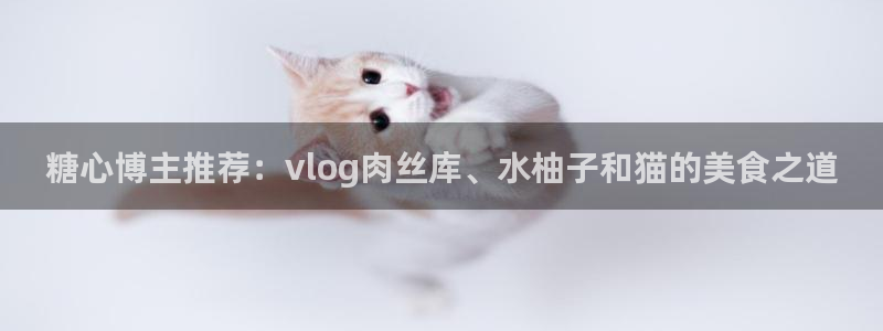 糖心vlog元气兔视频：糖心博主推荐：v