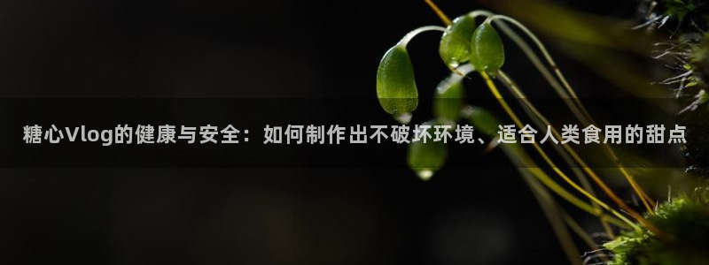 国产糖心vlog视频：糖心Vlog的健康