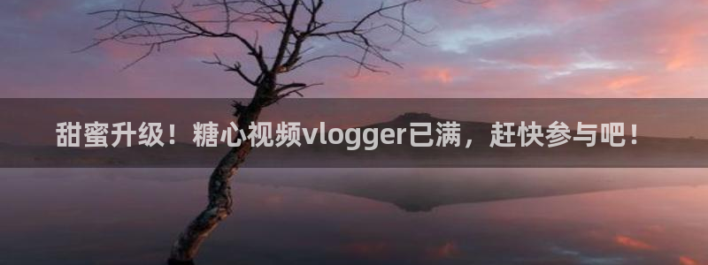 糖心vlog老板：甜蜜升级！糖心视频vlogger已满，赶快参与吧！