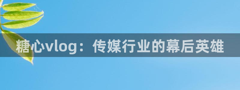 糖心vlog卡片：糖心vlog：传媒行业的幕后英雄