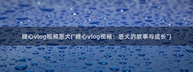 糖心vlog丽江夫妇:糖心vlog视频恶犬(\