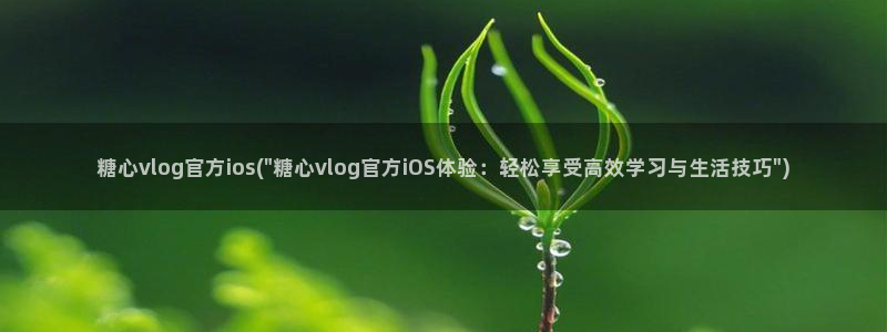 糖心vlog破解免费：糖心vlog官方ios(\