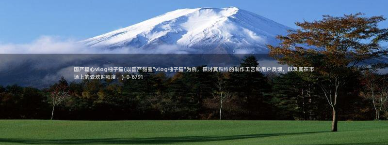 糖心vlog官方视频:国产糖心vlog柚子猫(以国产甜品\