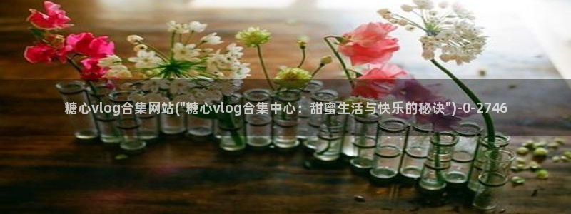 糖心vlog地址ios：糖心vlog合集