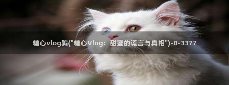 糖心vlog安安自慰:糖心vlog骗(\