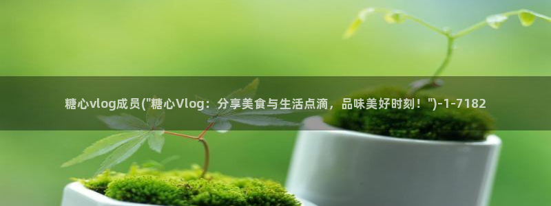 糖心出品vlog：糖心vlog成员(\