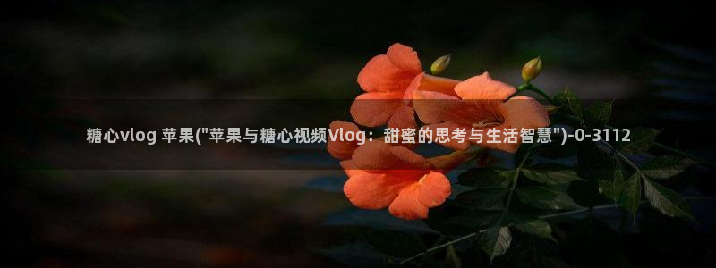 糖心vlog这么下载