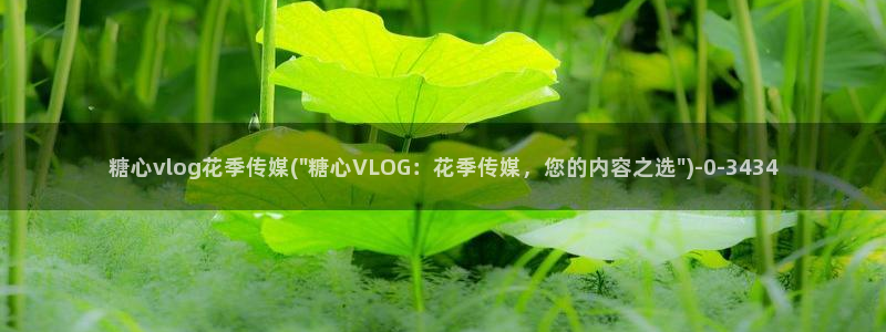 糖心成人vlog
