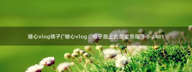 糖心vlog设计
