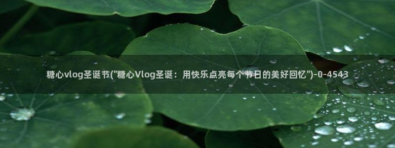 糖心vlog饼干：糖心vlog圣诞节(\