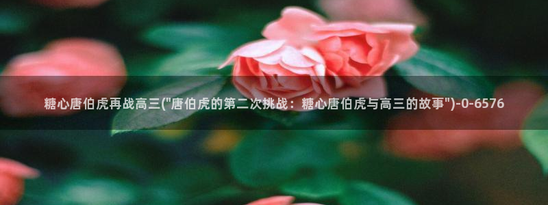 糖心vlog艺人