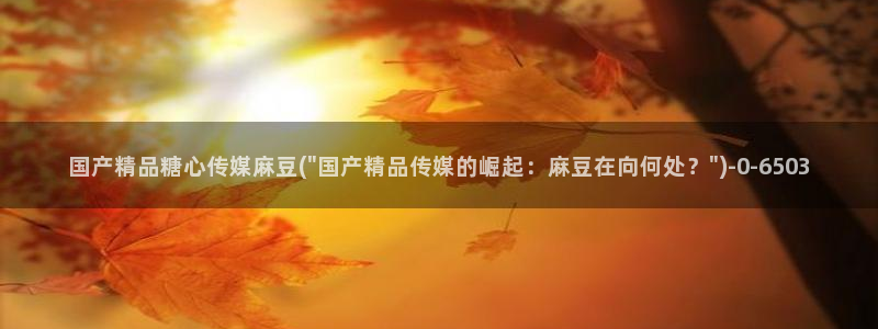 糖心vlog破解版免费版