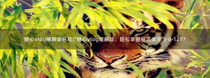 心糖vlog记录
