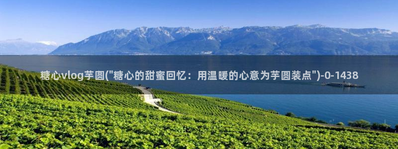 糖心vlog小