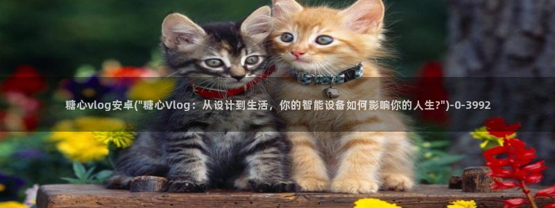糖心为vlog