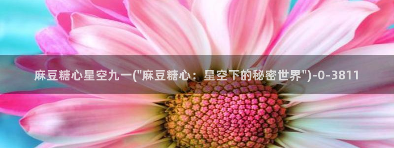 心糖vlog在线
