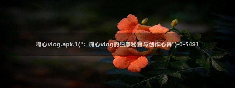 糖心vlog在线时间